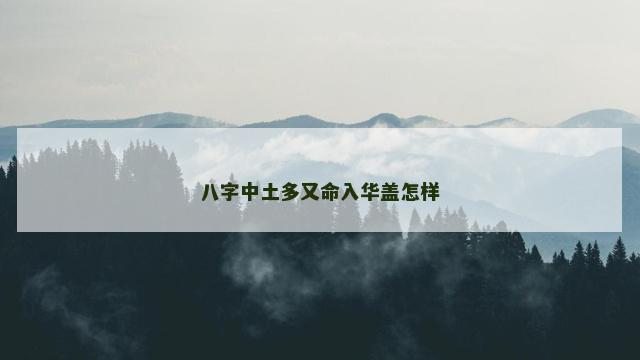 八字中土多又命入华盖怎样