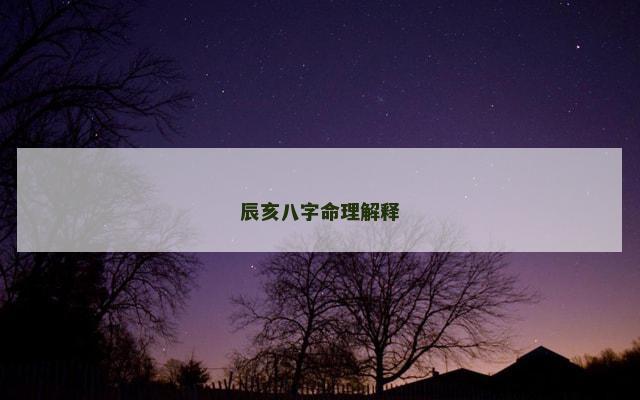 辰亥八字命理解释