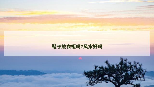 鞋子放衣柜吗?风水好吗