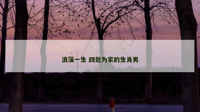 浪荡一生 四处为家的生肖男