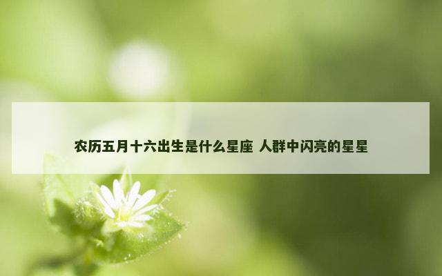 农历五月十六出生是什么星座 人群中闪亮的星星