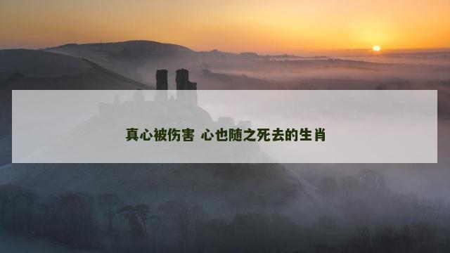 真心被伤害 心也随之死去的生肖