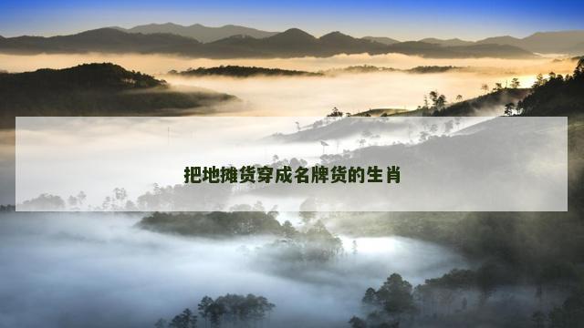 把地摊货穿成名牌货的生肖