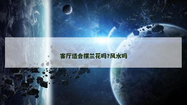 客厅适合摆兰花吗?风水吗