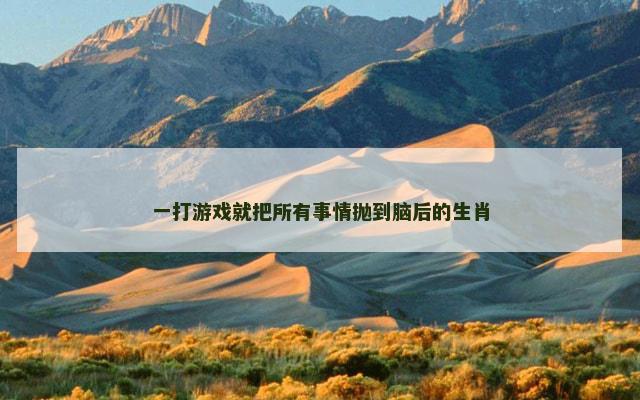 一打游戏就把所有事情抛到脑后的生肖