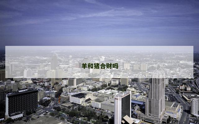 羊和猪合财吗