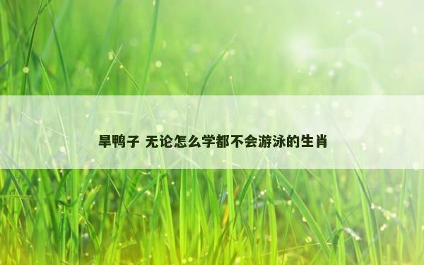 旱鸭子 无论怎么学都不会游泳的生肖