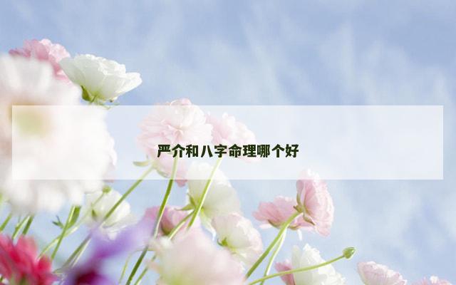 严介和八字命理哪个好