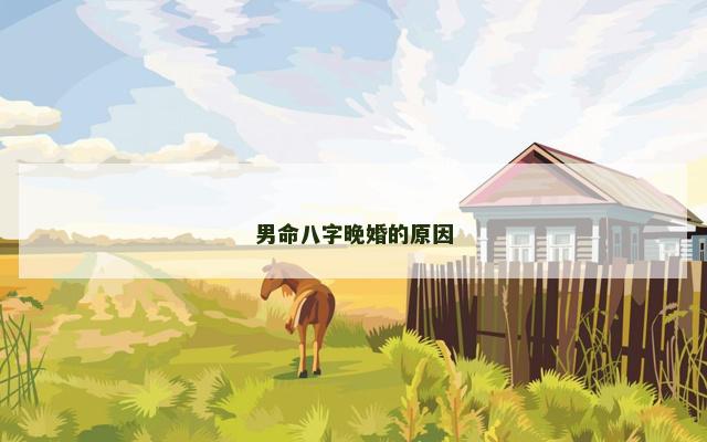 男命八字晚婚的原因