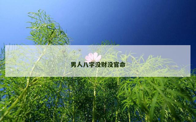 男人八字没财没官命