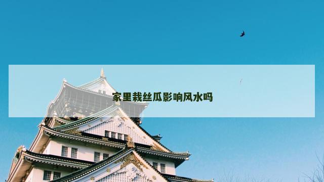 家里栽丝瓜影响风水吗