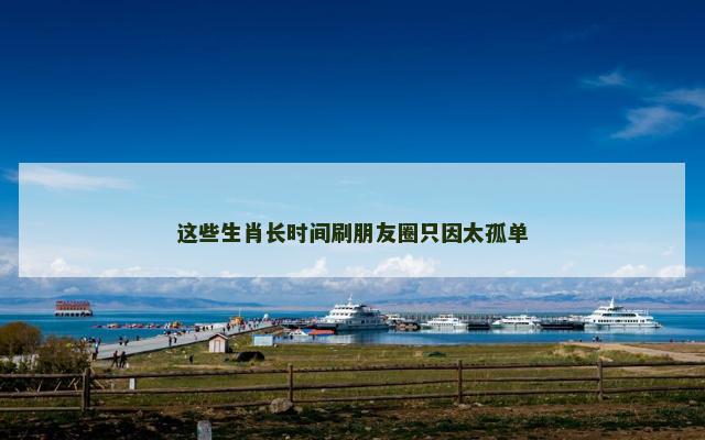 这些生肖长时间刷朋友圈只因太孤单