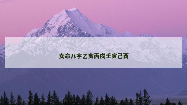 女命八字乙亥丙戌壬寅己酉