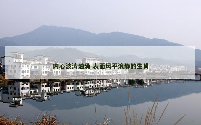 内心波涛汹涌 表面风平浪静的生肖