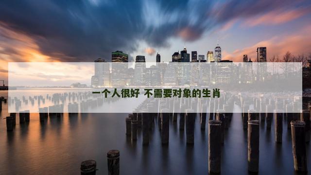 一个人很好 不需要对象的生肖