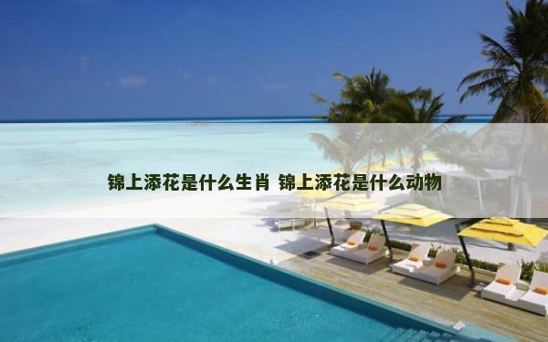 锦上添花是什么生肖 锦上添花是什么动物