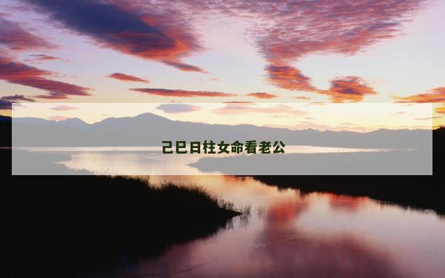己巳日柱女命看老公