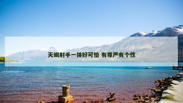 天蝎射手一体好可怕 有尊严有个性