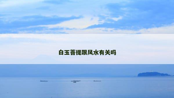 白玉菩提跟风水有关吗