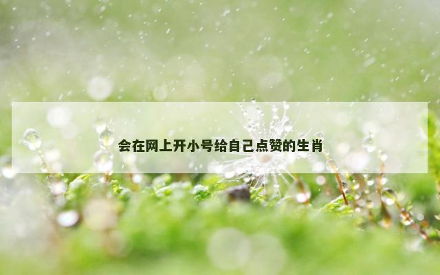 会在网上开小号给自己点赞的生肖