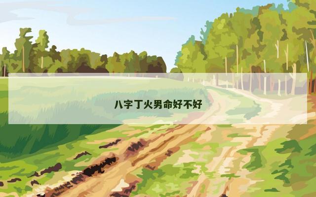 八字丁火男命好不好