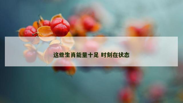 这些生肖能量十足 时刻在状态