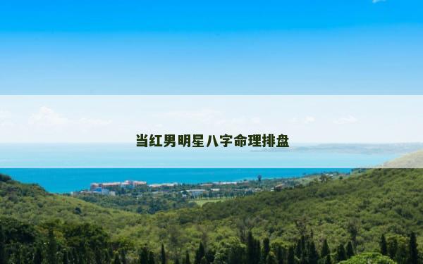 当红男明星八字命理排盘