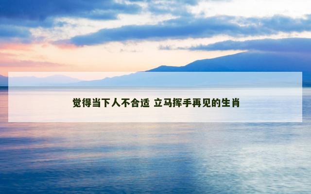 觉得当下人不合适 立马挥手再见的生肖