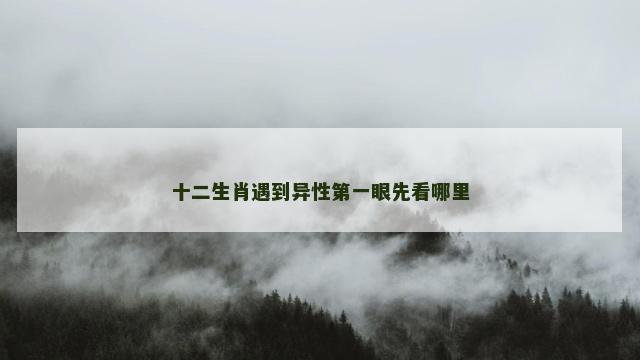 十二生肖遇到异性第一眼先看哪里