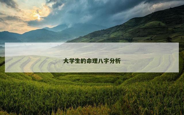 大学生的命理八字分析
