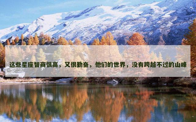 这些星座智商很高，又很勤奋，他们的世界，没有跨越不过的山峰