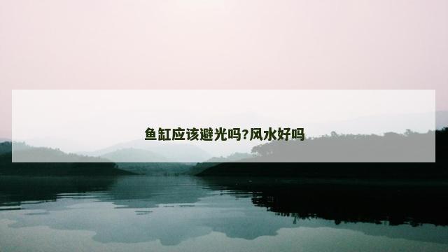 鱼缸应该避光吗?风水好吗