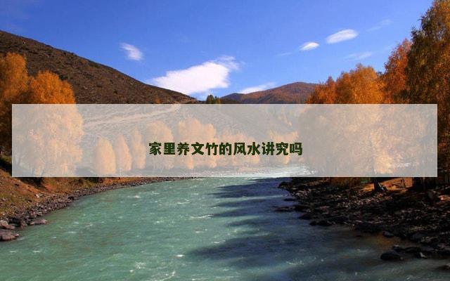 家里养文竹的风水讲究吗