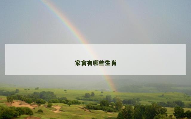 家禽有哪些生肖