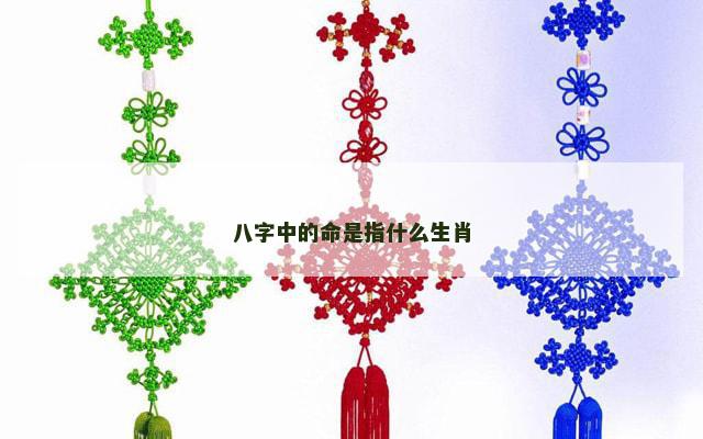 八字中的命是指什么生肖