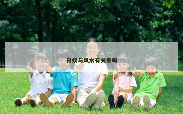 白蚁与风水有关系吗