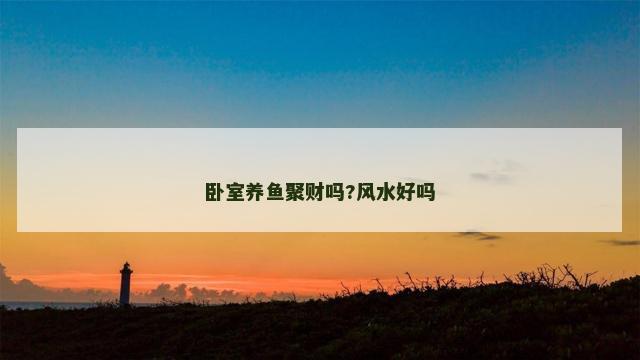 卧室养鱼聚财吗?风水好吗