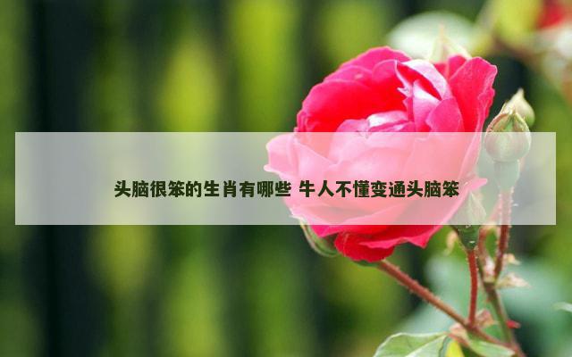 头脑很笨的生肖有哪些 牛人不懂变通头脑笨