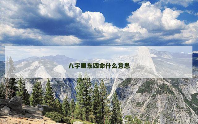 八字里东四命什么意思