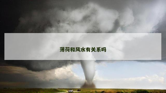 薄荷和风水有关系吗