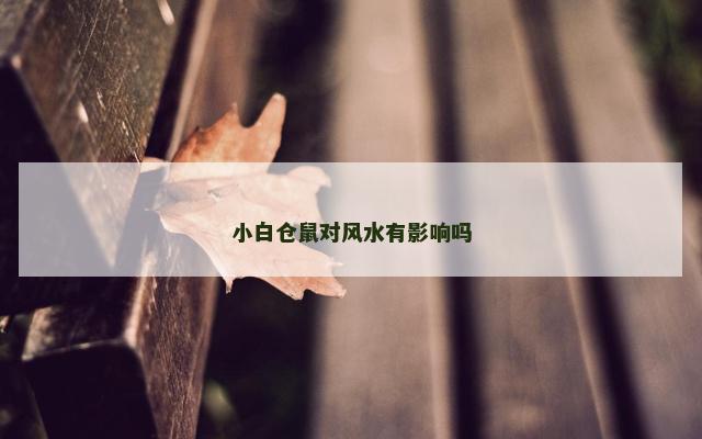 小白仓鼠对风水有影响吗