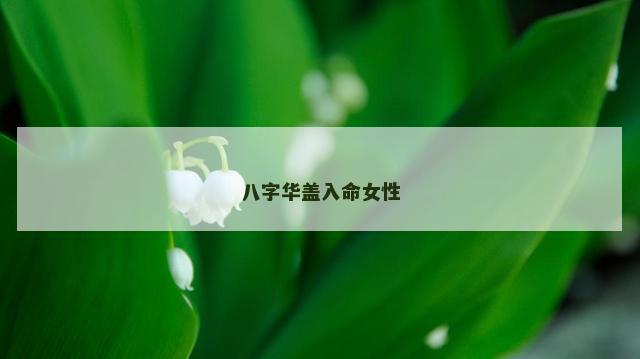 八字华盖入命女性