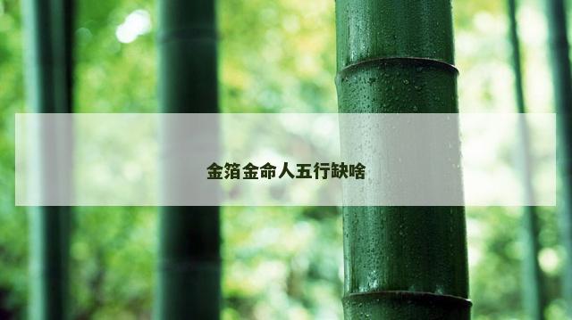 金箔金命人五行缺啥
