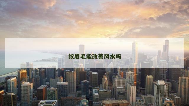 纹眉毛能改善风水吗