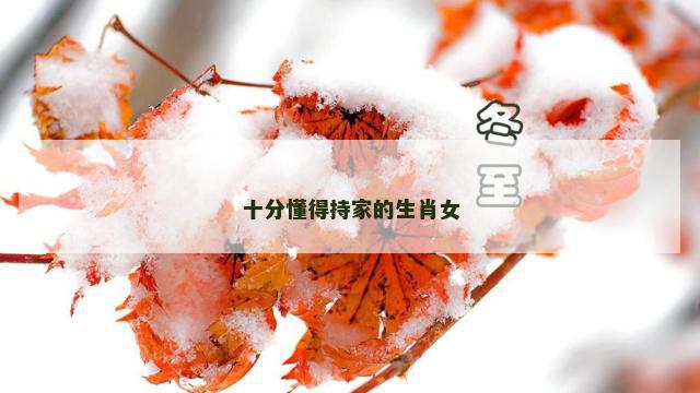 十分懂得持家的生肖女
