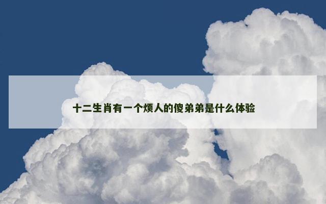 十二生肖有一个烦人的傻弟弟是什么体验