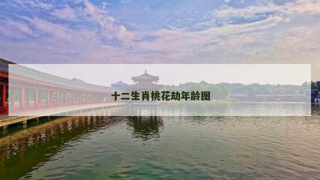 十二生肖桃花劫年龄图