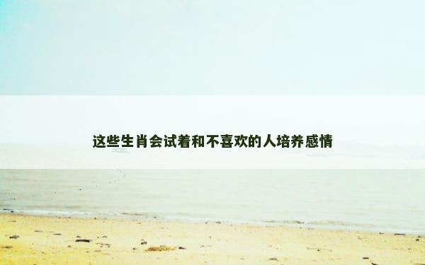 这些生肖会试着和不喜欢的人培养感情