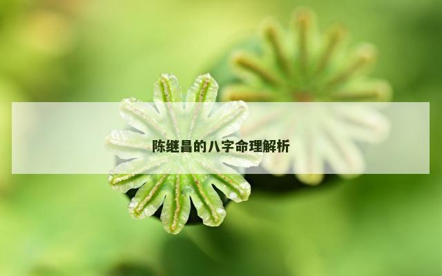 陈继昌的八字命理解析