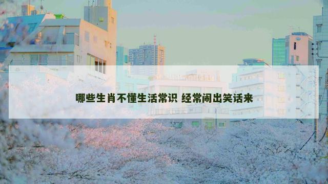 哪些生肖不懂生活常识 经常闹出笑话来